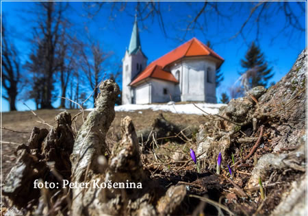 napovednik image