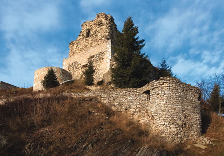 napovednik image
